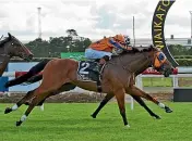  ?? RACE IMAGES ?? Prise De Fer, ridden by Craig Zackey, holds out Sinarahma, obscured, to win the Group III Eagle Technology Stakes (1600m) at Te Rapa on Saturday.