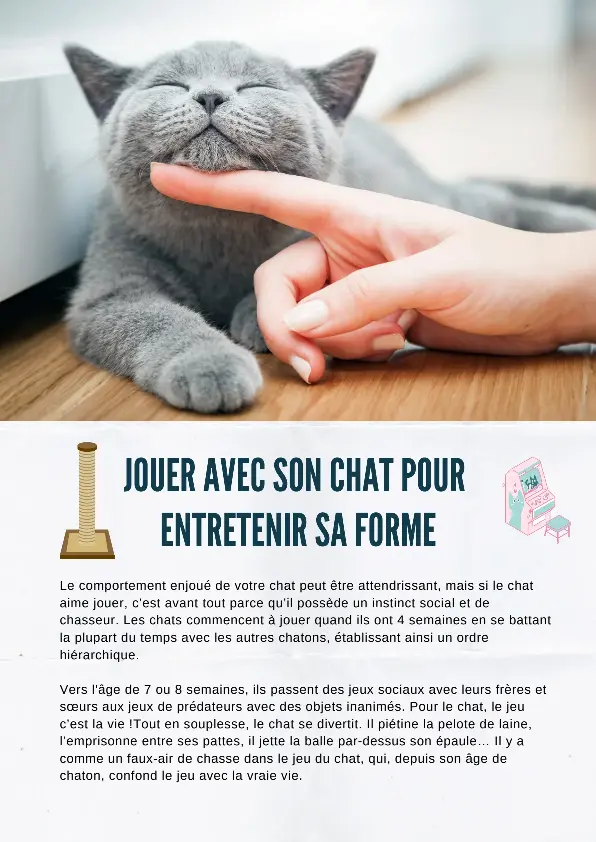 Jouer Avec Son Chat Pour Entretenir Sa Forme Pressreader