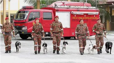  ??  ?? Rescue rovers: The brave and heroic dog handlers of the Fire and Rescue Department canine (K9) unit with their charges. Right: Dog handler Christer Lasius bonding with his canine colleague, a black Labrador called Tiny.