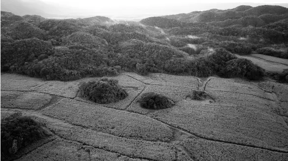  ?? FILE ?? Jamaica’s Cockpit Country, an ecological treasure of fauna and flora, and a major reserve of water supply, has been at the centre of fierce debate between environmen­talists on one side, and government and mining interests on the other.