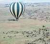  ?? ?? WITNESS the wildebeest migration, a once-in-a-lifetime experience. | Unsplash