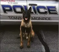  ?? Monroe Police Department / Contribute­d photo ?? K9 Riggs. Monroe police will continue to request K-9 units from neighborin­g towns to assist them if Riggs is off duty.