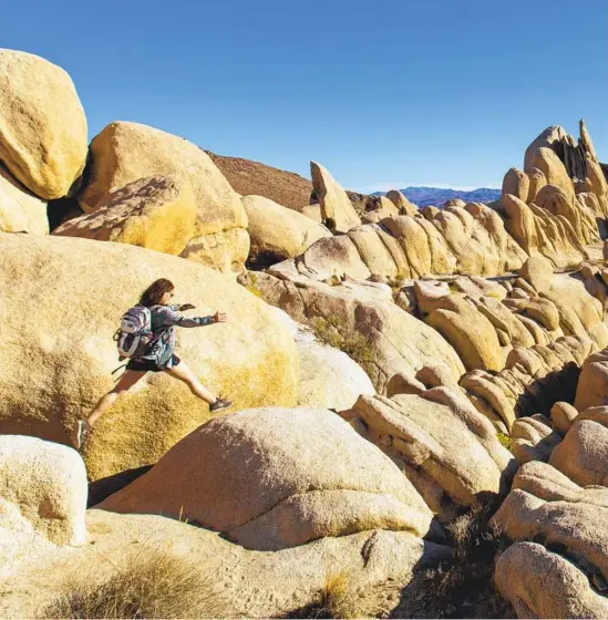  ?? Calvin B. Alagot Los Angeles Times
JOSHUA TREE NATIONAL PARK, ?? above, is reopening campground­s. The southern entrance to Yosemite, below, is closed after wind damage.