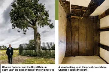  ??  ?? Charles Spencer and the Royal Oak – a c250-year-old descendent of the original tree A view looking up at the priest-hole where Charles II spent the night