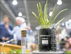  ??  ?? A small aloe plant is displayed in a repurposed beaker.