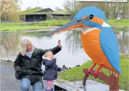  ?? The giant Kingfisher sculpture with, top, a Lego North American river otter and, above left, a Hawaiian goose (Ne Ne) ??