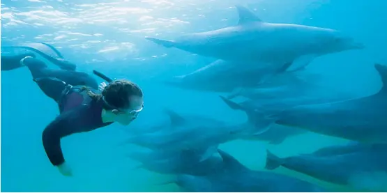  ??  ?? Ellie with the dolphins and (inset) at the London 2012 Paralympic­s