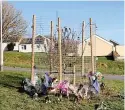  ?? Matt Gilley ?? > A tree has been planted on Sheepstor Road, Leigham, in remembranc­e of Bobbi-Anne McLeod