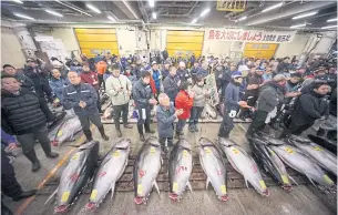  ??  ?? Wholesaler­s perform a ritual hand-clapping for the first auction of fresh tuna of the year on Jan 5 this year at the Tsukiji Market in Tokyo. The famed fish market is closing down today after eight decades.