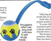  ??  ?? Smugglers often use dog ballcatche­rs to get drugs inside