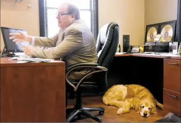  ?? Darrell Sapp/Post-Gazette ?? Sunny Days owner David Ellenwood sits at his desk in Peters on Thursday and talks about the impact of Obamacare, while Judah, his 9-year-old golden retriever, sleeps near him.