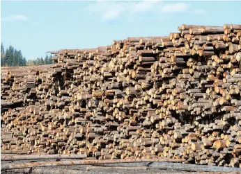  ?? CITIZEN FILE PHOTO ?? Logs are stacked at Lakeland Mill, awaiting processing in September 2016.