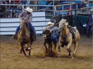  ?? Graham Thomas/Siloam Sunday ?? Stuart Gulager of Fort Scott, Kan., competes in steer wrestling Thursday at the Siloam Springs Rodeo.