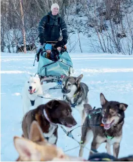  ?? ?? Bakpå sleden sørget Peter Hammer for en trygg ferd for søsknene Malin Elea og Mika Eiolf. (Foto: Arne Hauge)