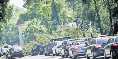  ?? RP-FOTOS: ANDREAS BRETZ (2), ANDREAS ENDERMANN, BERND SCHALLER ?? Ein Baum verengt die Maximilian-Weyhe-Allee – und die Fahrzeuge stauen sich zurück bis zum Ratinger Tor.