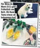  ??  ?? Für Mirja du Mont (41) gab’s Frühstück am Bett. Ob Hund Yuma etwas abbekommen hat?