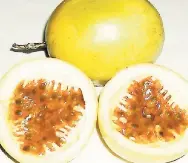  ??  ?? Passion Fruit