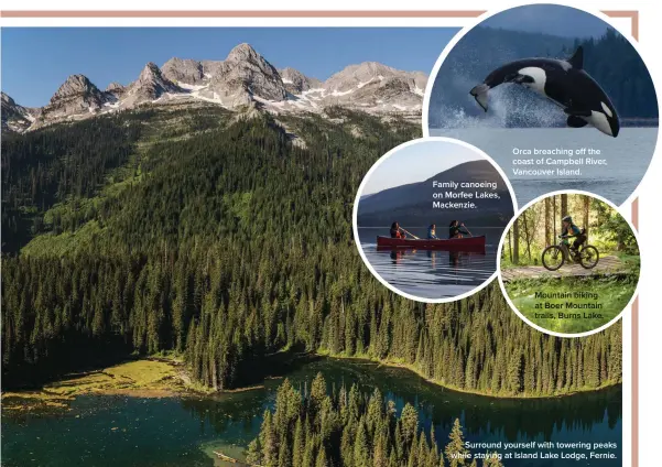  ?? ?? Family canoeing on Morfee Lakes, Mackenzie.
Orca breaching off the coast of Campbell River, Vancouver Island.
Mountain biking at Boer Mountain trails, Burns Lake.
Surround yourself with towering peaks while staying at Island Lake Lodge, Fernie.