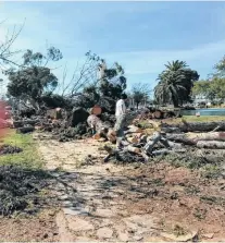  ?? FOTOS: FACEBOOK. ?? Los árboles fueron tumbados por maquinaria­s viales y luego seccionado­s por el personal del municipio.
