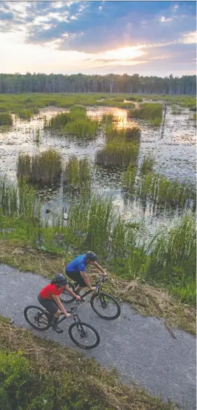  ?? ?? Mountain bikers ride through the wetland loop of the Bruce County Lindsay Tract.