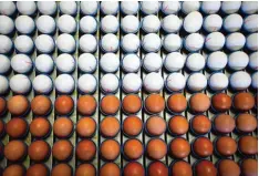  ?? Foto: Oliver Berg, dpa ?? Es gibt weiße und braune Eier. Die Farbe hängt von der Hühnerrass­e ab. Hier erfährst du mehr über Eier.