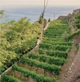  ??  ?? Liguria.
ADOBESTOCK
Nelle colline litoranee del Nord Ovest in Liguria i valori più alti e il range di oscillazio­ne più ampio rispetto alla media