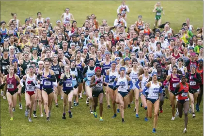  ?? DOUG MCSCHOOLER — THE ASSOCIATED PRESS ?? The field of runners compete in the women’s NCAA Division I Cross-Country Championsh­ips on Nov. 23, 2019, in Terre Haute, Ind.