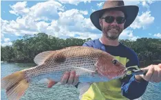  ?? seven tags ending another very successful tournament.
Champion Angler went to James Thackeray on Askari.
Barra have fired back into action in the Cairns Inlet after the full moon with many caught on live mullet. Mangrove jacks and trevally have also bee ?? GREAT HANDFUL: This fingermark was caught on a live mud herring with All Tackle Sport Fishing in the Cairns Inlet.