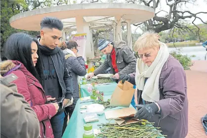  ?? LUCÍA MERLE ?? Consultas. Los vecinos reciben un instructiv­o sobre cómo lograr que los esquejes “prendan”.