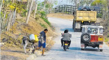  ?? María victoria bustamante ?? En el área rural de Sincelejo los burros son usados para transporta­r agua en pimpinas.