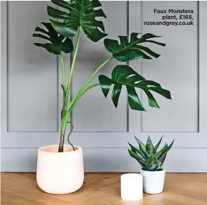  ??  ?? Faux Monstera plant, £165, roseandgre­y.co.uk