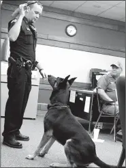  ?? NWA Democrat-Gazette/MIKE ECKELS ?? Koda (center) waits for his reward from his partner Ty Eggedreche after locating hidden narcotics during a demonstrat­ion for the Decatur City Council. The council voted to add Koda to the Decatur Police force as a narcotics enforcemen­t officer.