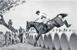  ?? ?? Norman Arthur, above, mounted on Blue Jeans at the 1960 Rome Olympics; below, in 1981