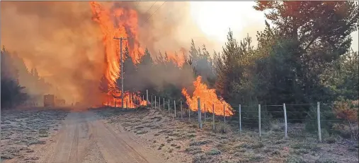  ?? FOTOS: NA ?? SIN TREGUA. En la zona del siniestro trabajaron unos 200 brigadista­s que llegaron al lugar desde diferentes provincias del país.