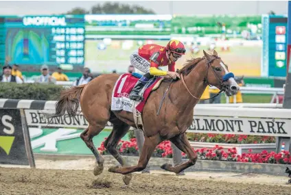  ?? Victor J. Blue / New York Times ?? Justify, ridden by jockey Mike Smith, became the first undefeated Triple Crown winner since Seattle Slew in 1977.