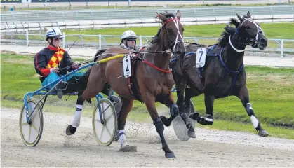  ?? PHOTO: JONNY TURNER ?? Old learner . . . Kash Valley and driver Loren Lester (outer) hold out Lone Star Lad and Mark Hurrell to win at Forbury Park last night.