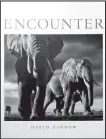  ??  ?? David Yarrow’s book features his wildlife photograph­y