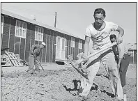  ?? Democrat-Gazette file photo ?? Japanese-American men dig a drainage ditch near barracks at the Rohwer Relocation Center in 1942. Adults in the camps were allowed to work for about the same wages as the lowest-paid Army privates.