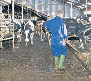  ??  ?? STATS: Figures show a net loss of seven Scottish dairy farms in the first half of the year.