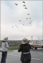  ?? ?? Jim and Linda Hargrove of San Francisco take note of a flock of geese on their 50th count. The Hargrove’s joined the Fort Bragg team covering Glass Beach to Virgin Creek.