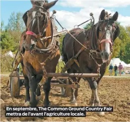  ??  ?? En septembre, The Common Ground Country Fair mettra de l’avant l’agricultur­e locale.