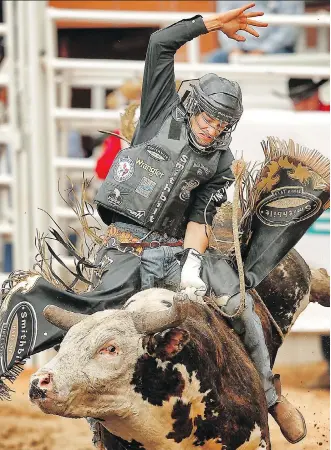  ?? AL CHAREST/FILES ?? Ty Pozzobon of Merritt, British Columbia, rides a bull during the Stampede in 2014. Pozzobon died in January, and analysis of his brain revealed multiple types of chronic damage.