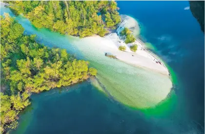  ?? / Foto: Rožle Bregar ?? Izliv potoka Savica v Bohinjsko jezero