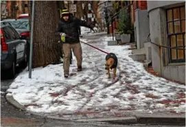  ?? DAVID L. RYAN/GLOBE STAFF ?? John Bello walked with Ella Mae across untreated sidewalks on Mt. Vernon Street at Beacon Hill.