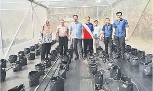  ??  ?? FERTIGASI: Dr Abdul Rahman (tiga kiri) bersama Hanisah (kiri), Chieng dan Japaruddin melawat tanaman fertigasi di Stesen Pertanian Kubong, Limbang semalam.