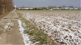  ?? FOTO DJ ?? Elshouterv­eld ligt tussen de Verbinding­slaan en de Katteweide­laan en loopt tot aan de Muggenberg­straat.