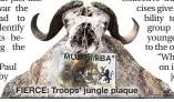  ??  ?? FIERCE: Troops’ jungle plaque