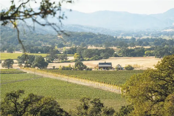  ?? Photos by Noah Berger / Special to The Chronicle ?? Xavier Cervantes, below, in one of the vineyards that line his Hine Ranch in Pope Valley, above. The ranch has recently produced its inaugural 2015 Cabernet Sauvignon, left.