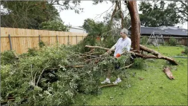  ?? ROGELIO V. SOLIS — THE ASSOCIATED PRESS ?? Steve Bergeron collects downed branches from a Tropical Storm Barry damaged backyard tree, Sunday in Morgan City, La.