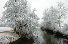  ??  ?? Der Winter verzaubert die Bäume und Sträucher an der Schmutter: Aufgenomme­n am vierten Advent von Stephan Lott bei Achsheim.